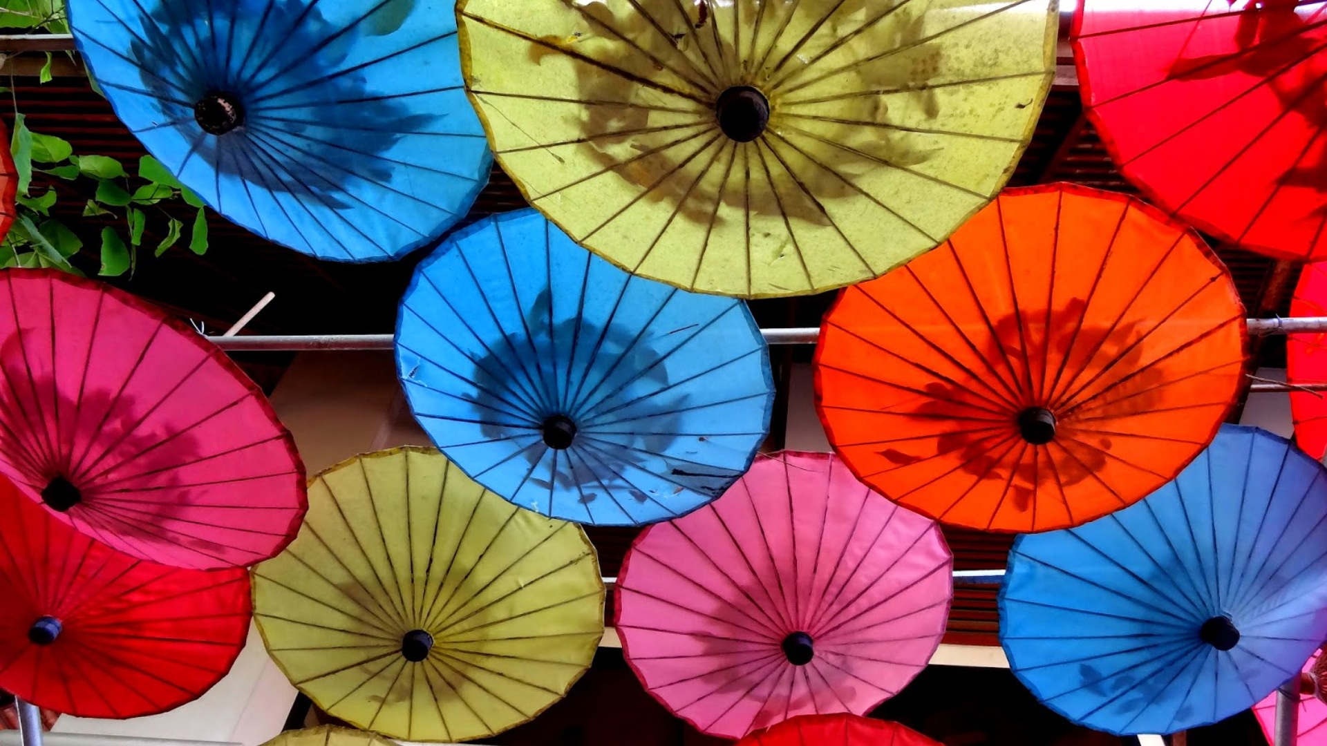 Thai Umbrellas