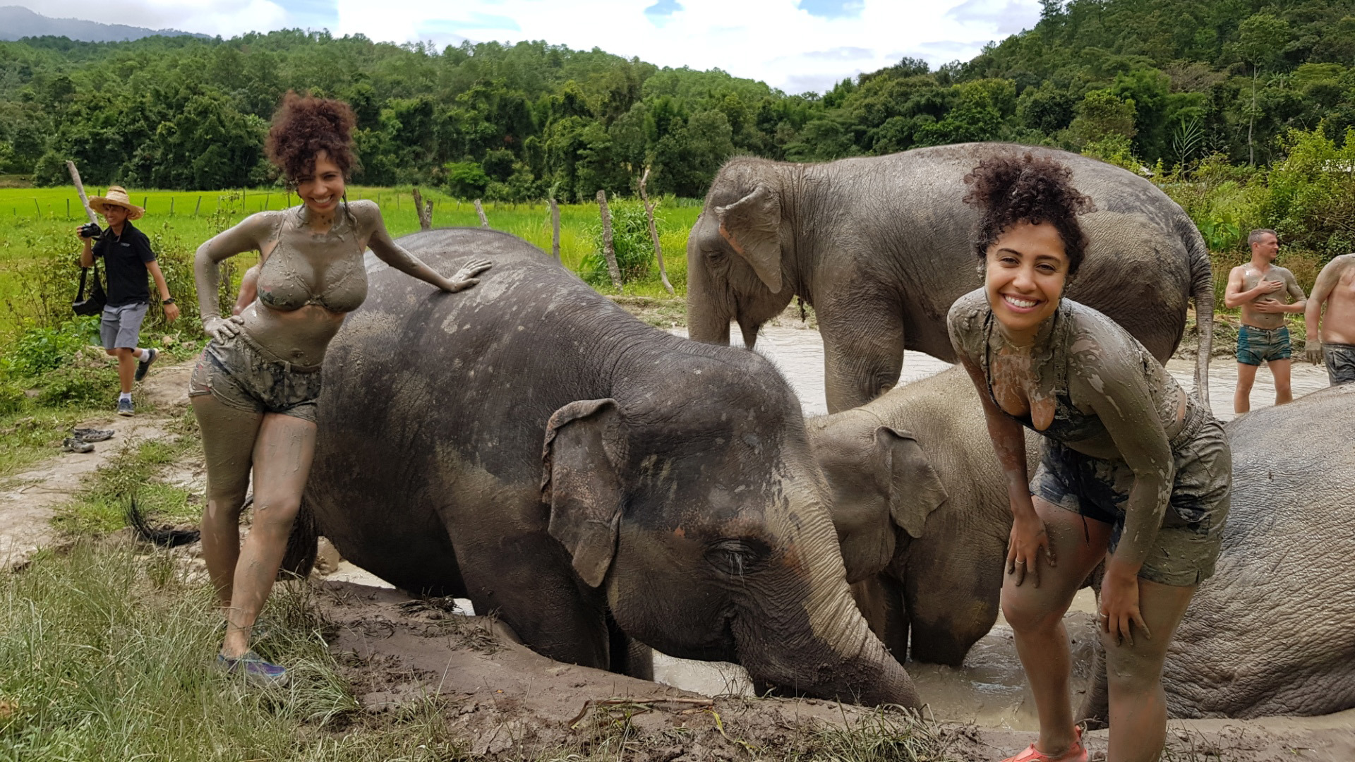 Chiang Mai Elephant Jungle Sanctuary