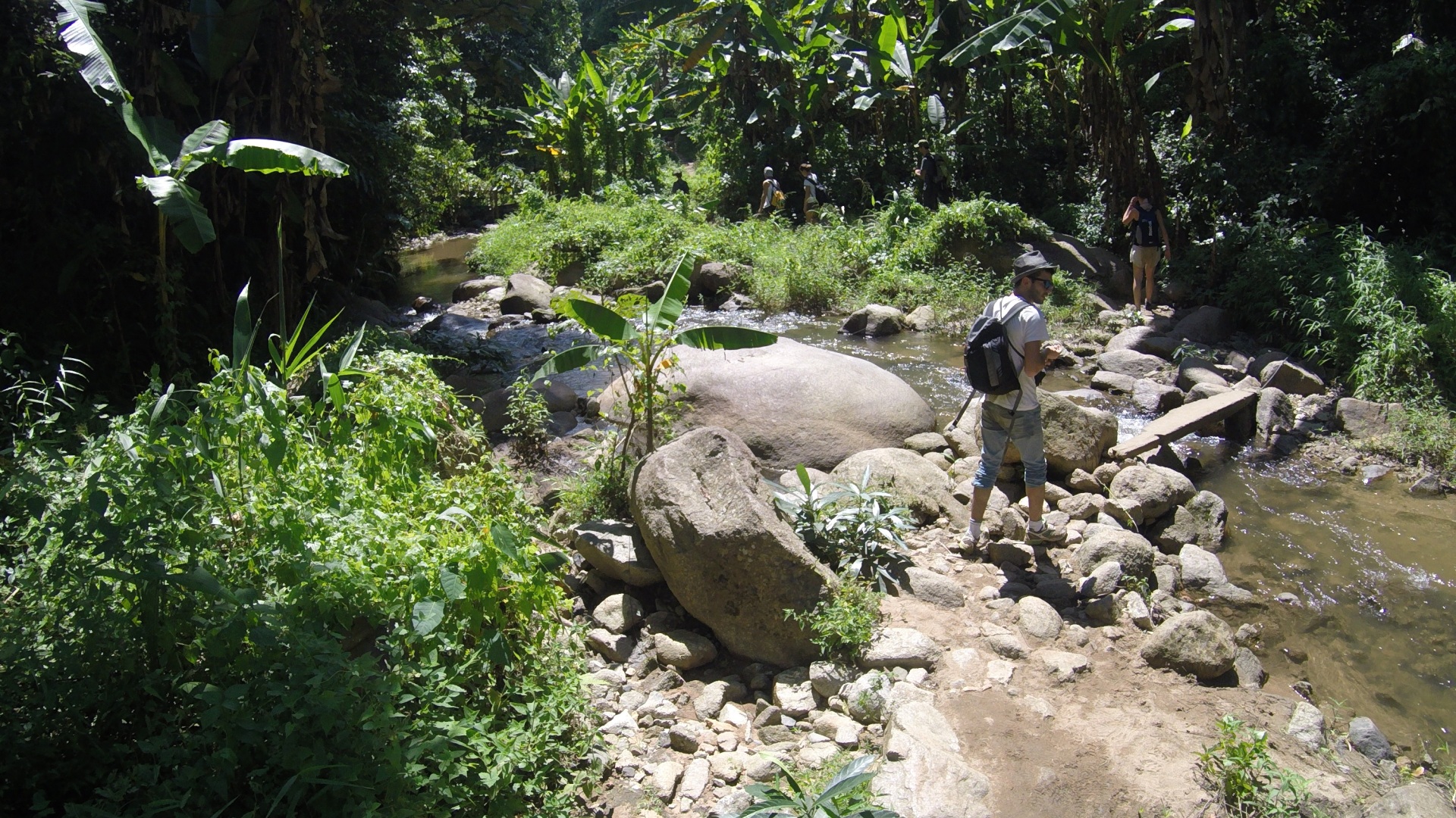 Chiang Mai Trekking